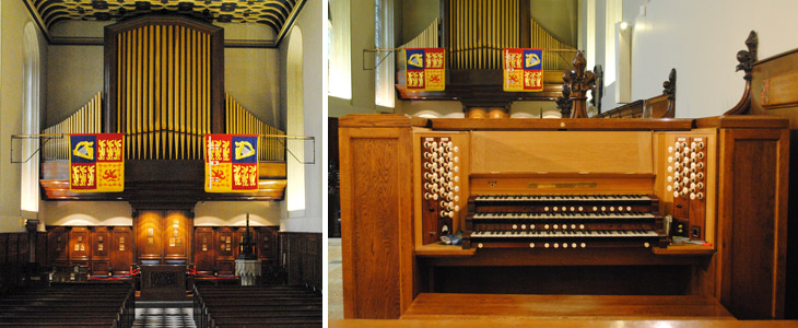 The Organ
